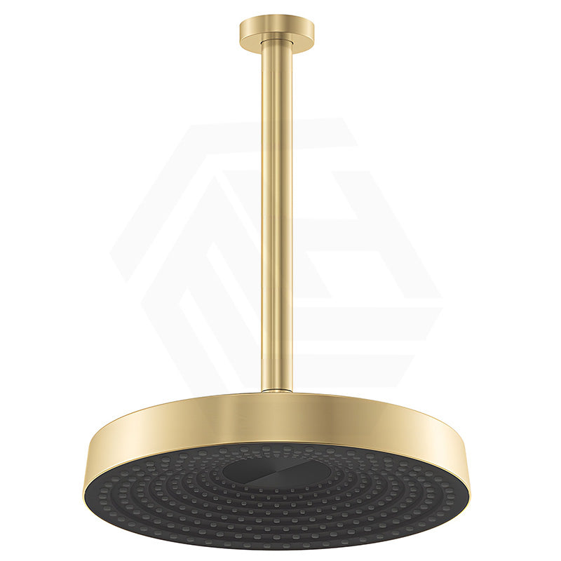 Fienza Kuro Round Stainless Steel Ceiling Shower Arm Set - Variant Colour Available
