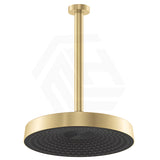 Fienza Kuro Round Stainless Steel Ceiling Shower Arm Set - Variant Colour Available