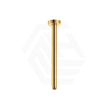 G#2(Gold) Fienza 300mm Round Urban Brass Ceiling Dropper