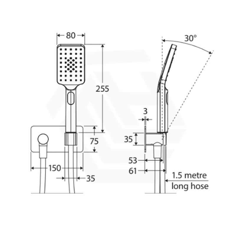 Fienza Tono Hand Shower with Rectangular Plate Variant Colour Available