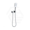 Fienza Tono Hand Shower with Rectangular Plate Variant Colour Available