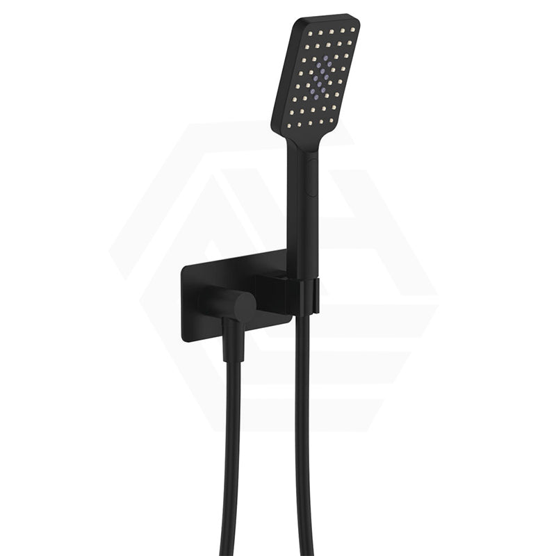 Fienza Tono Hand Shower with Rectangular Plate Variant Colour Available