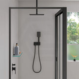 Fienza Tono Hand Shower with Rectangular Plate Variant Colour Available
