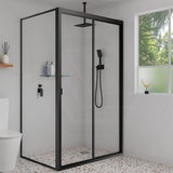 Fienza Tono Hand Shower with Rectangular Plate Variant Colour Available