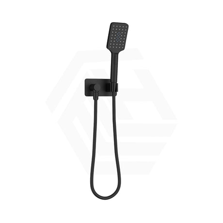 Fienza Tono Hand Shower with Rectangular Plate Variant Colour Available