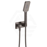 Fienza Tono Hand Shower with Rectangular Plate Variant Colour Available