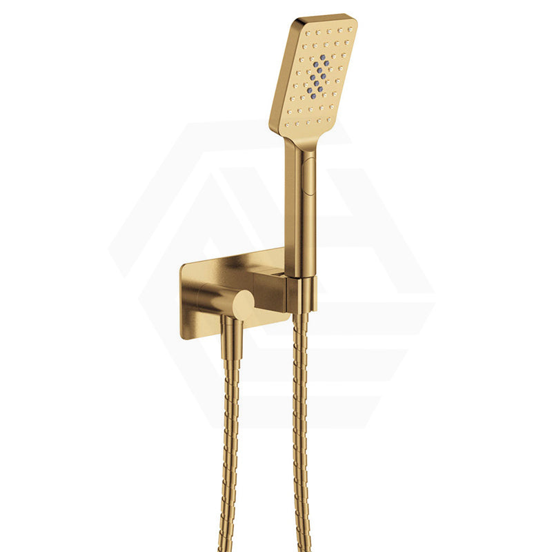 Fienza Tono Hand Shower with Rectangular Plate Variant Colour Available