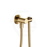 Fienza Universal Brass Hand Shower Bracket with Hose Round Plate Variant Colour Available