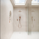 Fienza Kaya Hand Shower with Round Plate Variant Colour Available