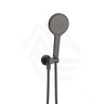 Fienza Kaya Hand Shower with Round Plate Variant Colour Available