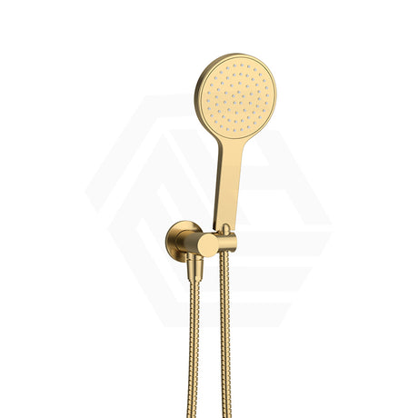 Fienza Kaya Hand Shower with Round Plate Variant Colour Available