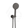 Fienza Empire Slim 3 Functions Hand Shower with Round Plate Variant Colour Available