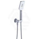 Fienza Tono Hand Shower with Round Plate Variant Colour Available