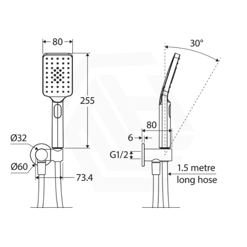 Fienza Tono Hand Shower with Round Plate Variant Colour Available