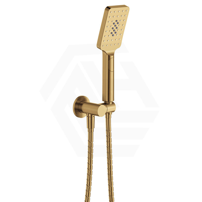 Fienza Tono Hand Shower with Round Plate Variant Colour Available