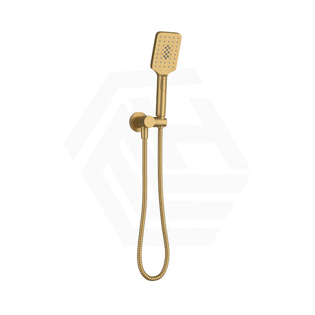 Fienza Tono Hand Shower with Round Plate Variant Colour Available