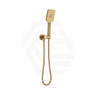 Fienza Tono Hand Shower with Round Plate Variant Colour Available