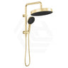 Fienza Kuro Twin Half-Rail Shower Round Head Bottom Water Inlet - Variant Colour Available