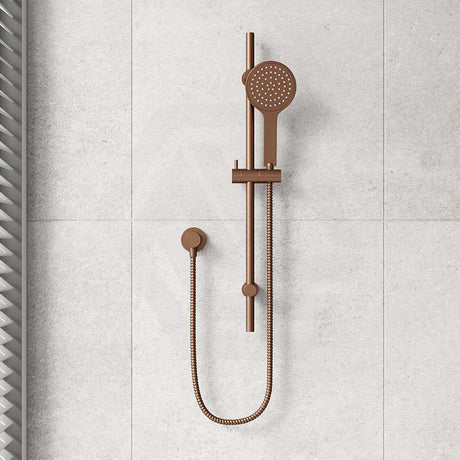 Fienza Kaya Shower Rail with Handheld Variant Colour Available