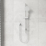 Fienza Kaya Shower Rail with Handheld Variant Colour Available