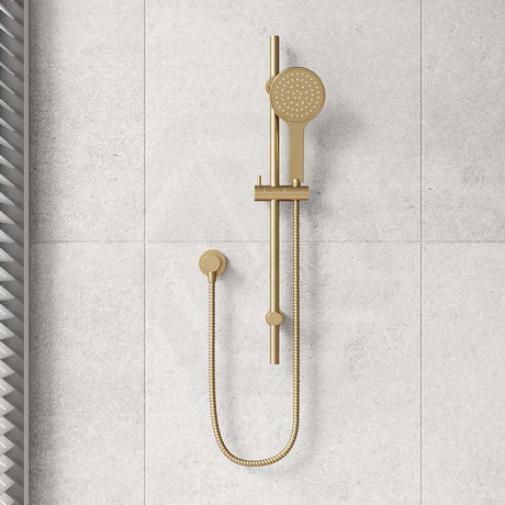 Fienza Kaya Shower Rail with Handheld Variant Colour Available