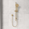 Fienza Kaya Shower Rail with Handheld Variant Colour Available