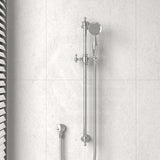 Fienza Lillian Wall Mounted Rail Shower with Handheld Variant Colour Available