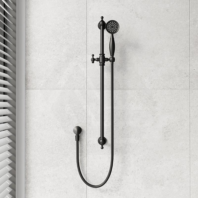 Fienza Lillian Wall Mounted Rail Shower with Handheld Variant Colour Available