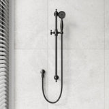 Fienza Lillian Wall Mounted Rail Shower with Handheld Variant Colour Available