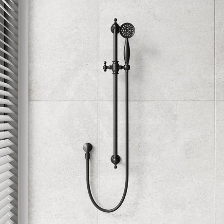 Fienza Lillian Wall Mounted Rail Shower with Handheld Variant Colour Available
