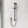 Fienza Lillian Wall Mounted Rail Shower with Handheld Variant Colour Available