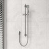 Fienza Lillian Wall Mounted Rail Shower with Handheld Variant Colour Available