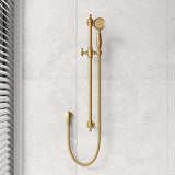 Fienza Lillian Wall Mounted Rail Shower with Handheld Variant Colour Available