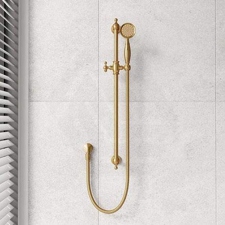 Fienza Lillian Wall Mounted Rail Shower with Handheld Variant Colour Available