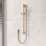 Fienza Lillian Wall Mounted Rail Shower with Handheld Variant Colour Available