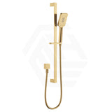 Fienza Tono Wall Mounted Rail Shower with Handheld Variant Colour Available