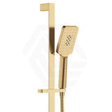 Fienza Tono Wall Mounted Rail Shower with Handheld Variant Colour Available
