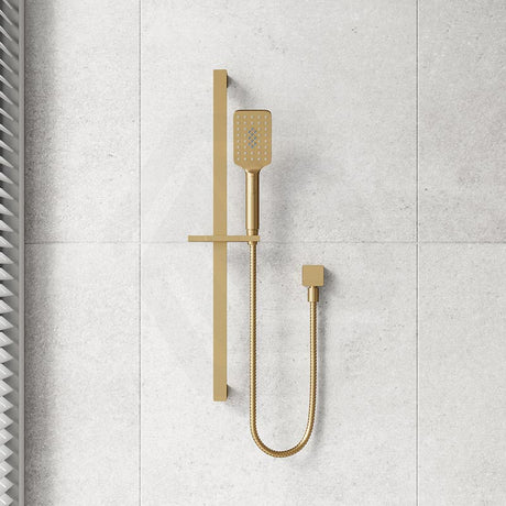 Fienza Tono Wall Mounted Rail Shower with Handheld Variant Colour Available