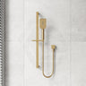 Fienza Tono Wall Mounted Rail Shower with Handheld Variant Colour Available