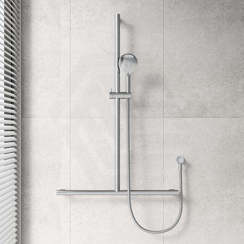 Fienza Care Inverted T Bar Rail Adjustable Slider With Handheld Shower Set In Various Colour