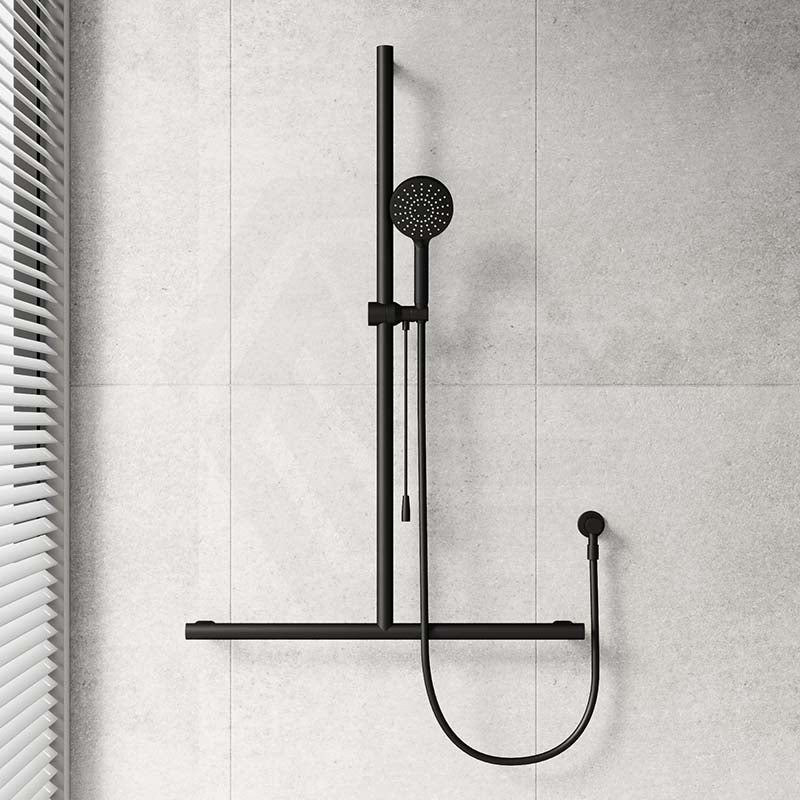Fienza Care Inverted T Bar Rail Handheld Shower Set with Push/Pull Slider in Various Colour