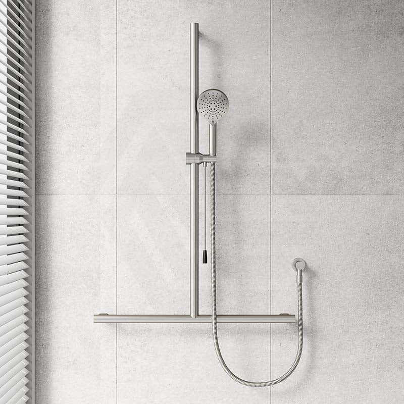 Fienza Care Inverted T Bar Rail Handheld Shower Set with Push/Pull Slider in Various Colour