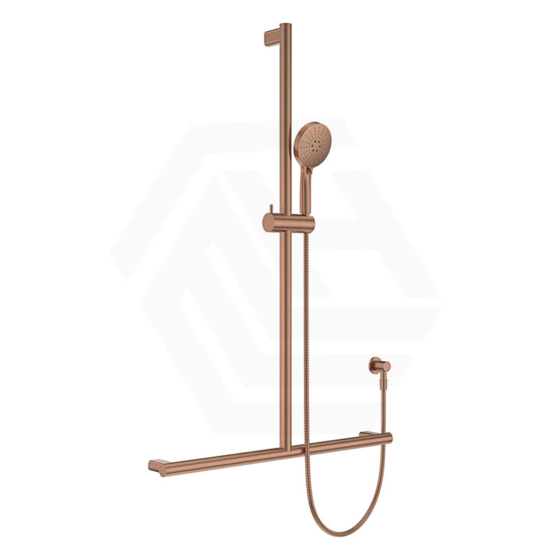 Fienza Care Inverted T Bar Rail Adjustable slider with Handheld Shower Set in Various Colour