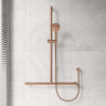Fienza Care Inverted T Bar Rail Adjustable Slider With Handheld Shower Set In Various Colour