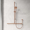 Fienza Care Inverted T Bar Rail Handheld Shower Set with Push/Pull Slider in Various Colour