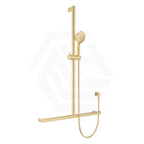 Fienza Care Inverted T Bar Rail Adjustable slider with Handheld Shower Set in Various Colour