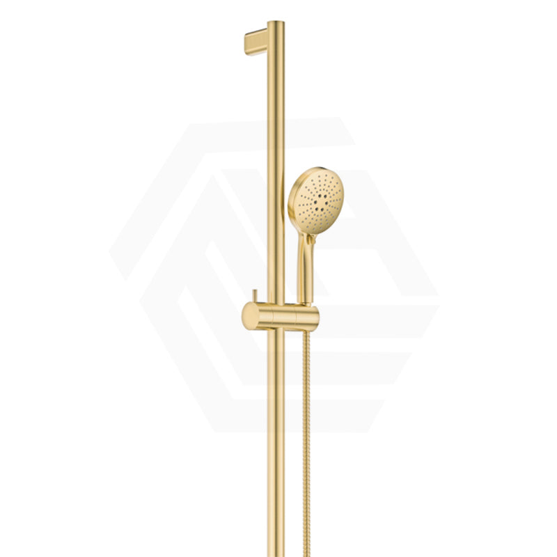 Fienza Care Inverted T Bar Rail Adjustable slider with Handheld Shower Set in Various Colour