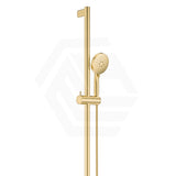 Fienza Care Inverted T Bar Rail Adjustable slider with Handheld Shower Set in Various Colour