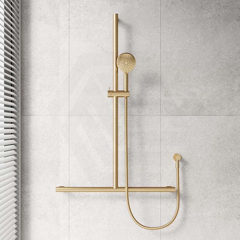 Fienza Care Inverted T Bar Rail Adjustable Slider With Handheld Shower Set In Various Colour