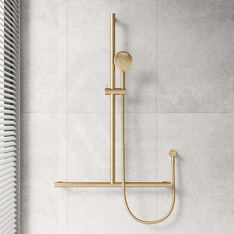 Fienza Care Inverted T Bar Rail Adjustable Slider With Handheld Shower Set In Various Colour